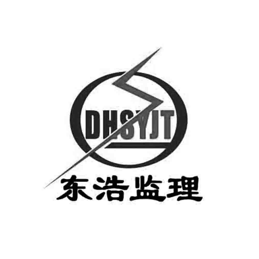 东浩监理 dhsyjt