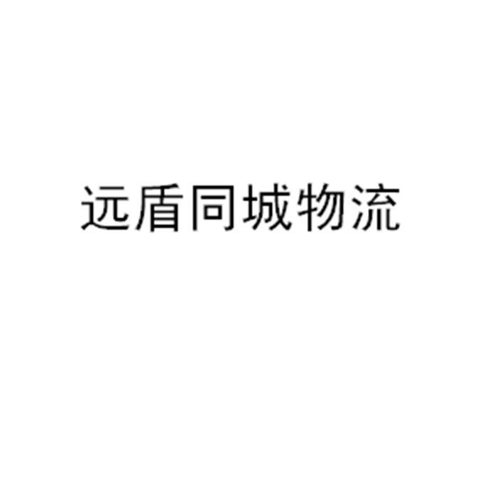 中技细软(北京)知识产权代理有限公司申请人:山东远盾网络技术股份