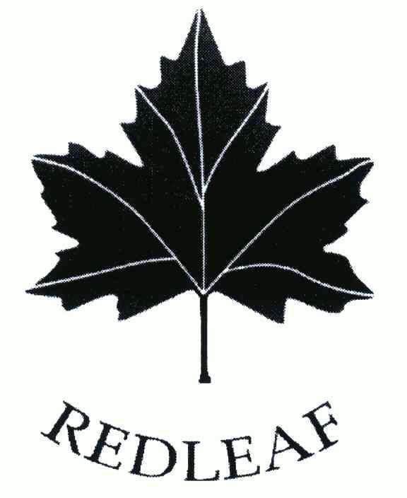  em>red /em> em>leaf /em>; em>红叶 /em>