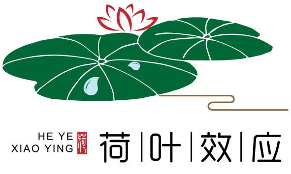  em>荷叶 /em> em>效应 /em> 荷