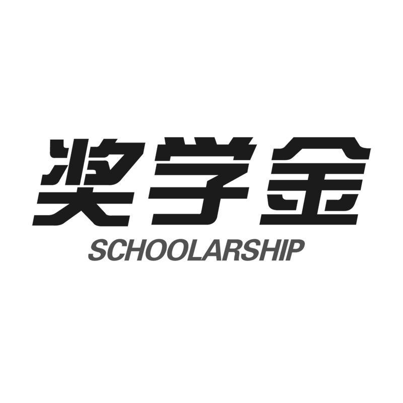 奖学金 schoolarship                       