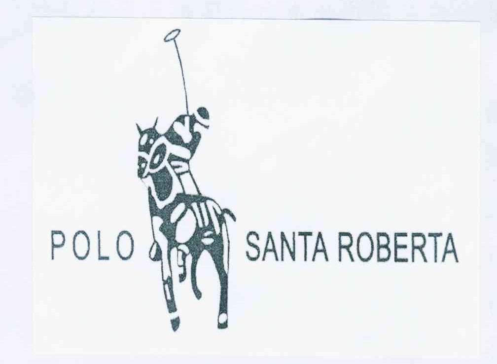  em>polo /em>  em>santa /em>  em>roberta /em>