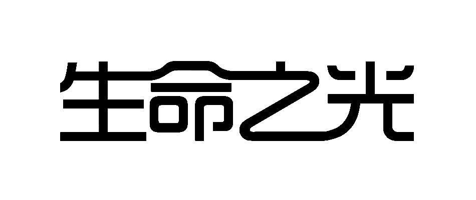 生命之光                                  