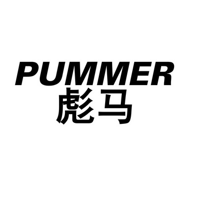  em>彪马 /em> em>pummer /em>