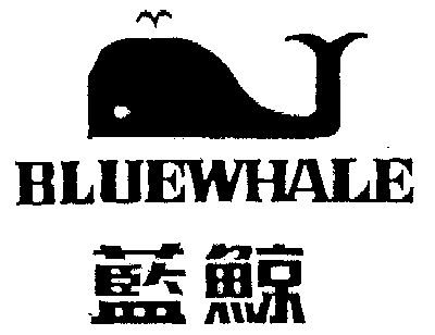 蓝鲸                                      