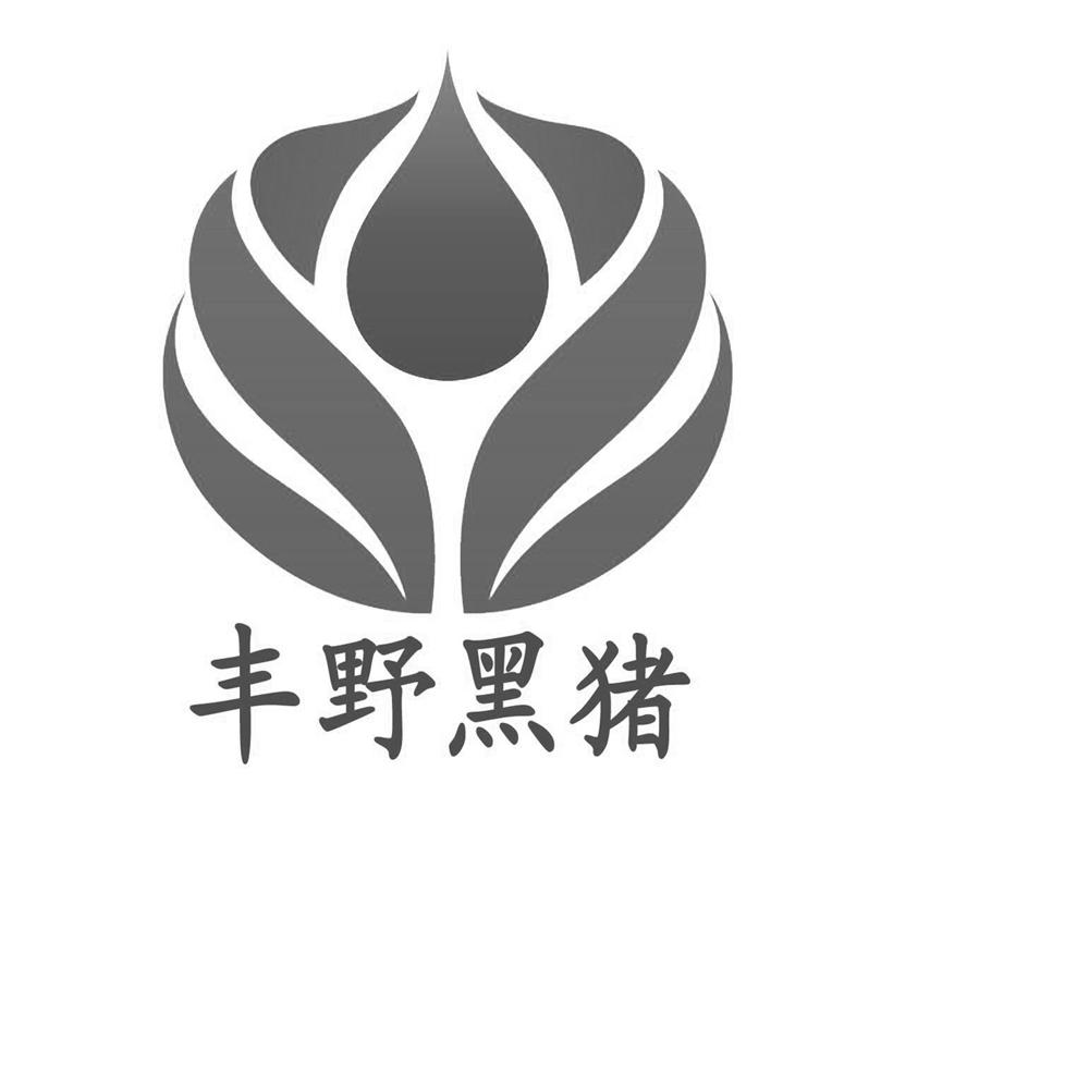 丰野 黑猪申请被驳回不予受理等该商标已失效