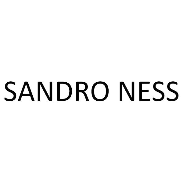 sandro ness