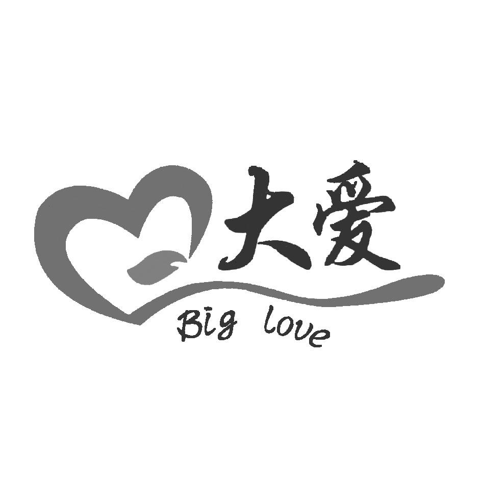 em 大爱 /em  big love