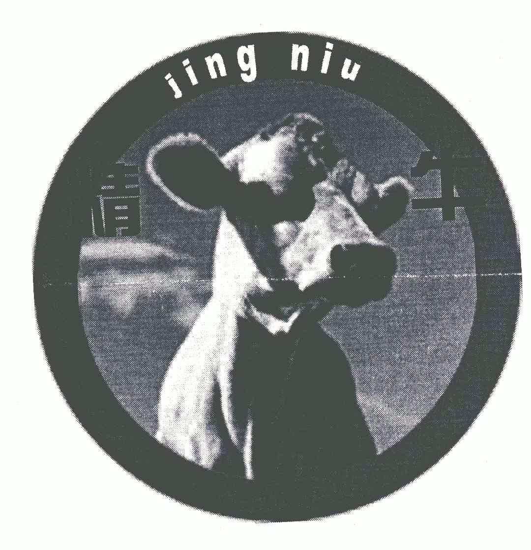 em>精牛/em>