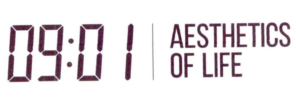  em>aesthetics /em> of  em>life /em> 09:01