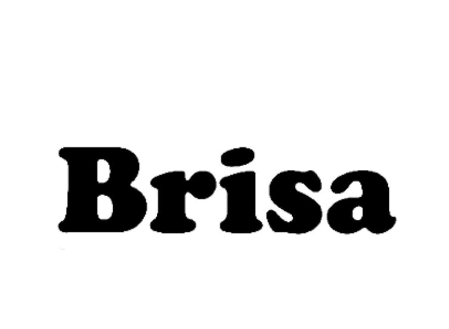  em>brisa /em>