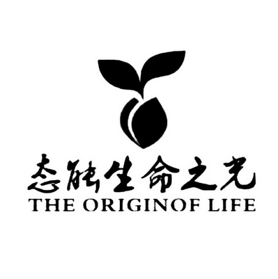 态能生命之光 the originof life            