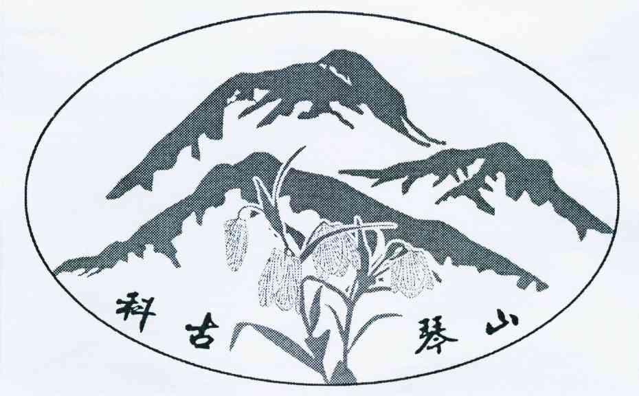 科古琴山