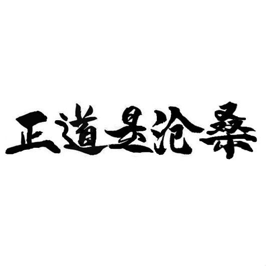 正道沧桑_企业商标大全_商标信息查询_爱企查