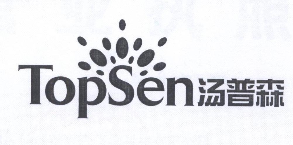 汤普森  em>topsen /em>