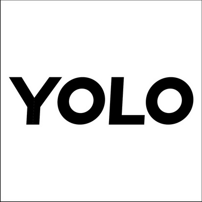 yolo                                      