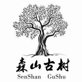 森山 em>古树 /em>