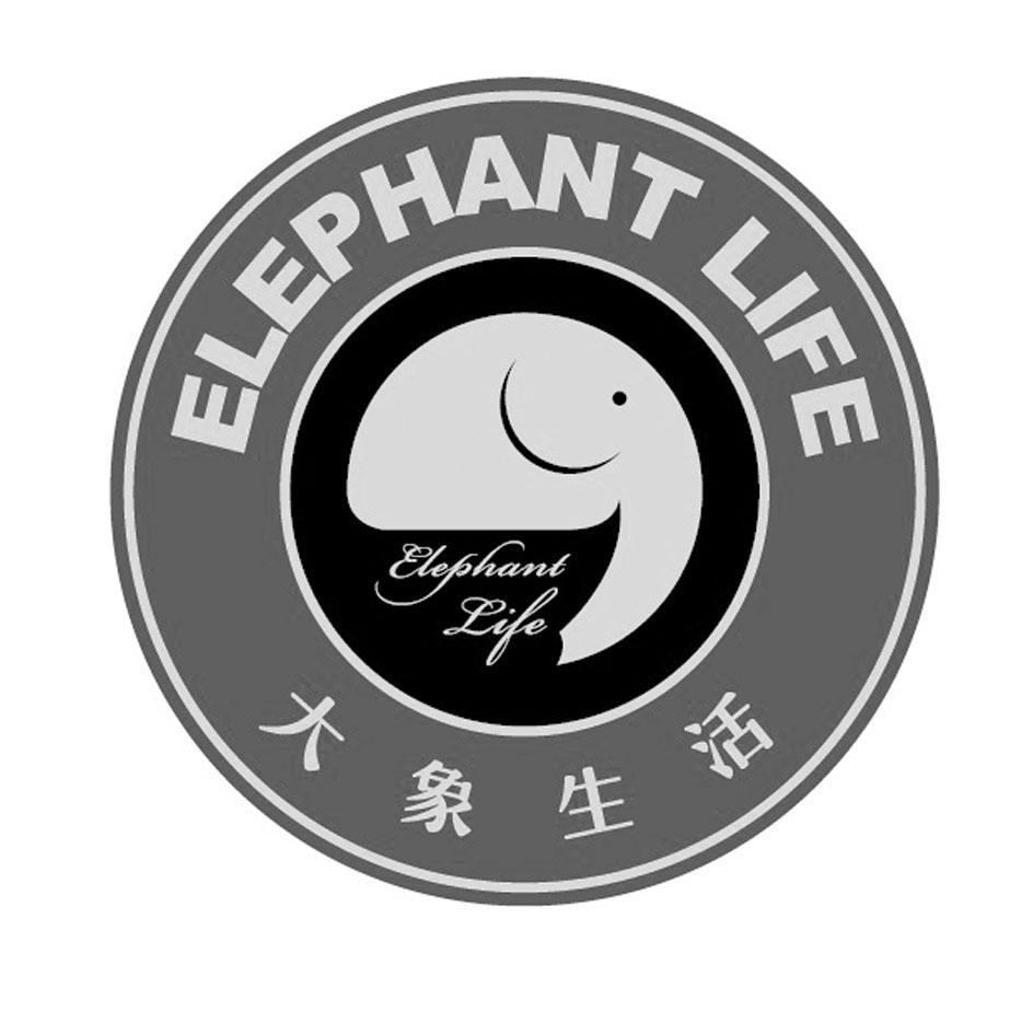 em 大象 /em  em 生活 /em  em elephant /em  em life /em