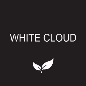  em>white /em>  em>cloud /em>