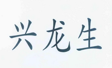 em>兴龙生/em>