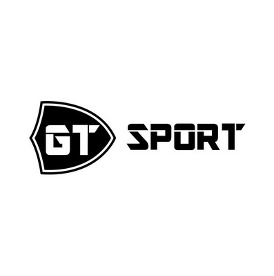 gt sport                                  