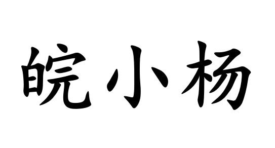  em>皖 /em> em>小杨 /em>
