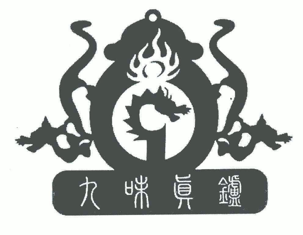 机构:山东和和商标事务所有限公司九味真火商标注册申请申请/注册号