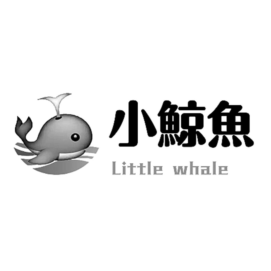  em>小 /em> em>鲸鱼 /em>  em>little /em>  em>whale /em>