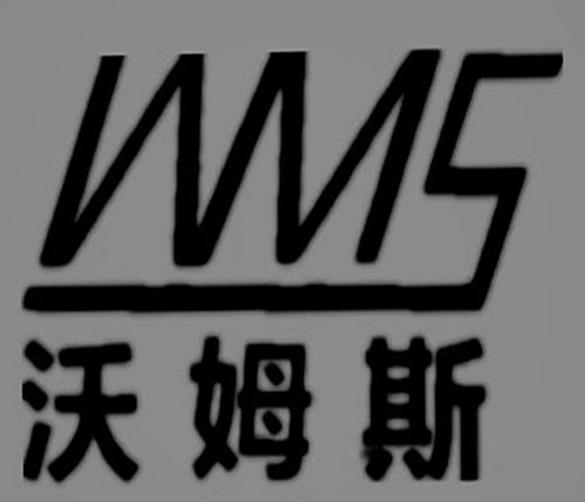 em>沃姆斯/em em>wms/em>