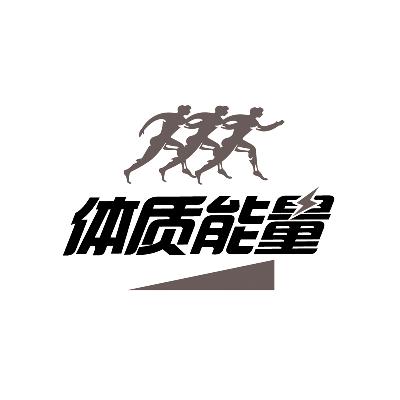  em>体质 /em> em>能量 /em>