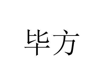 商标详情申请人:北京华仁艺电科技有限公司 办理/代理机构:北京英特