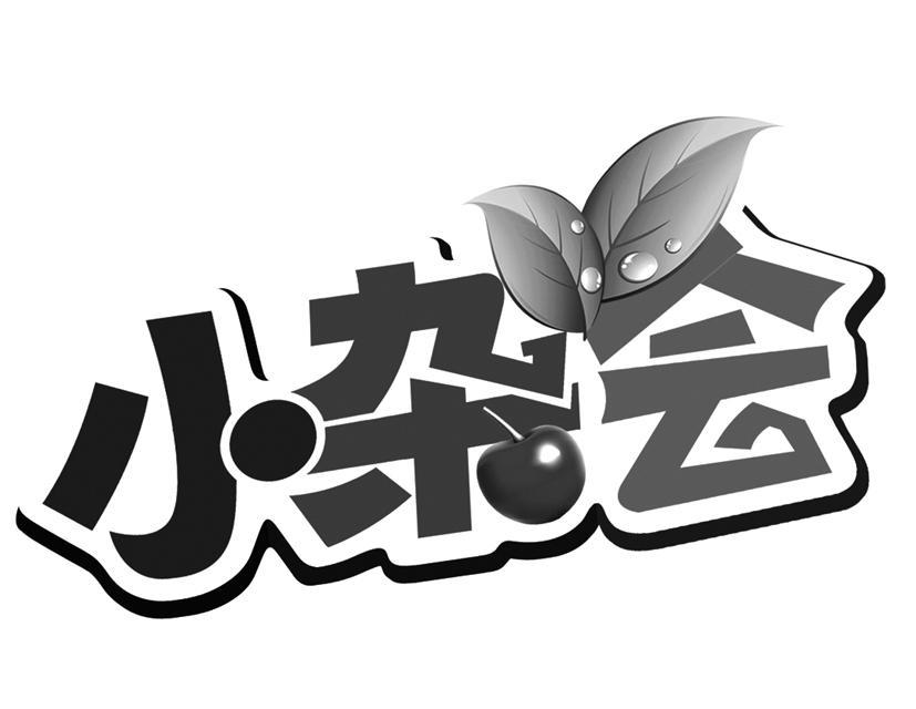 em>小/em em>杂会/em>