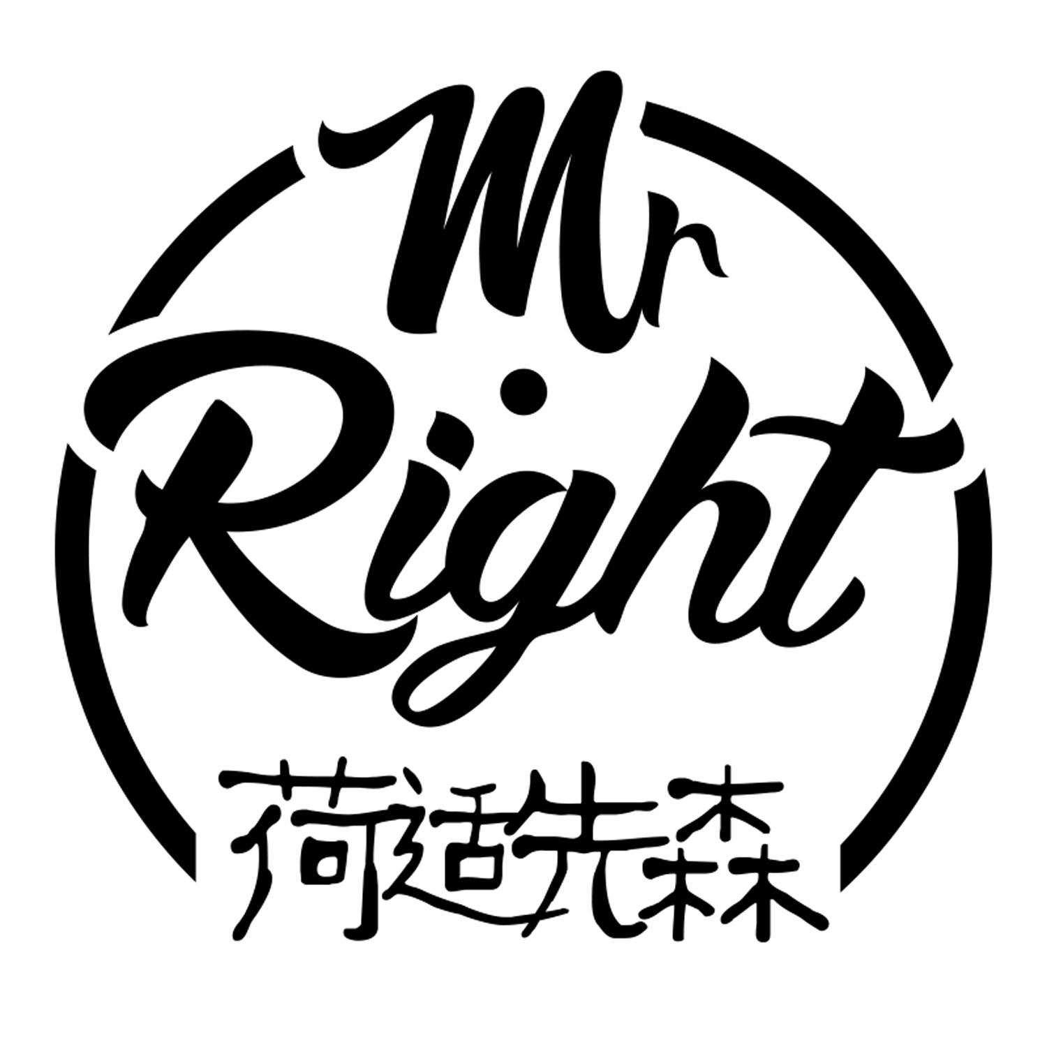  em>荷 /em>适 em>先森 /em> mr right