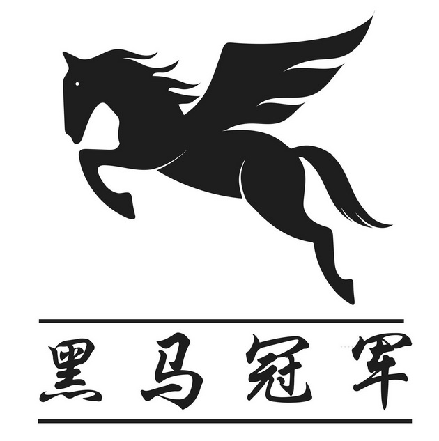  em>黑马 /em> em>冠军 /em>