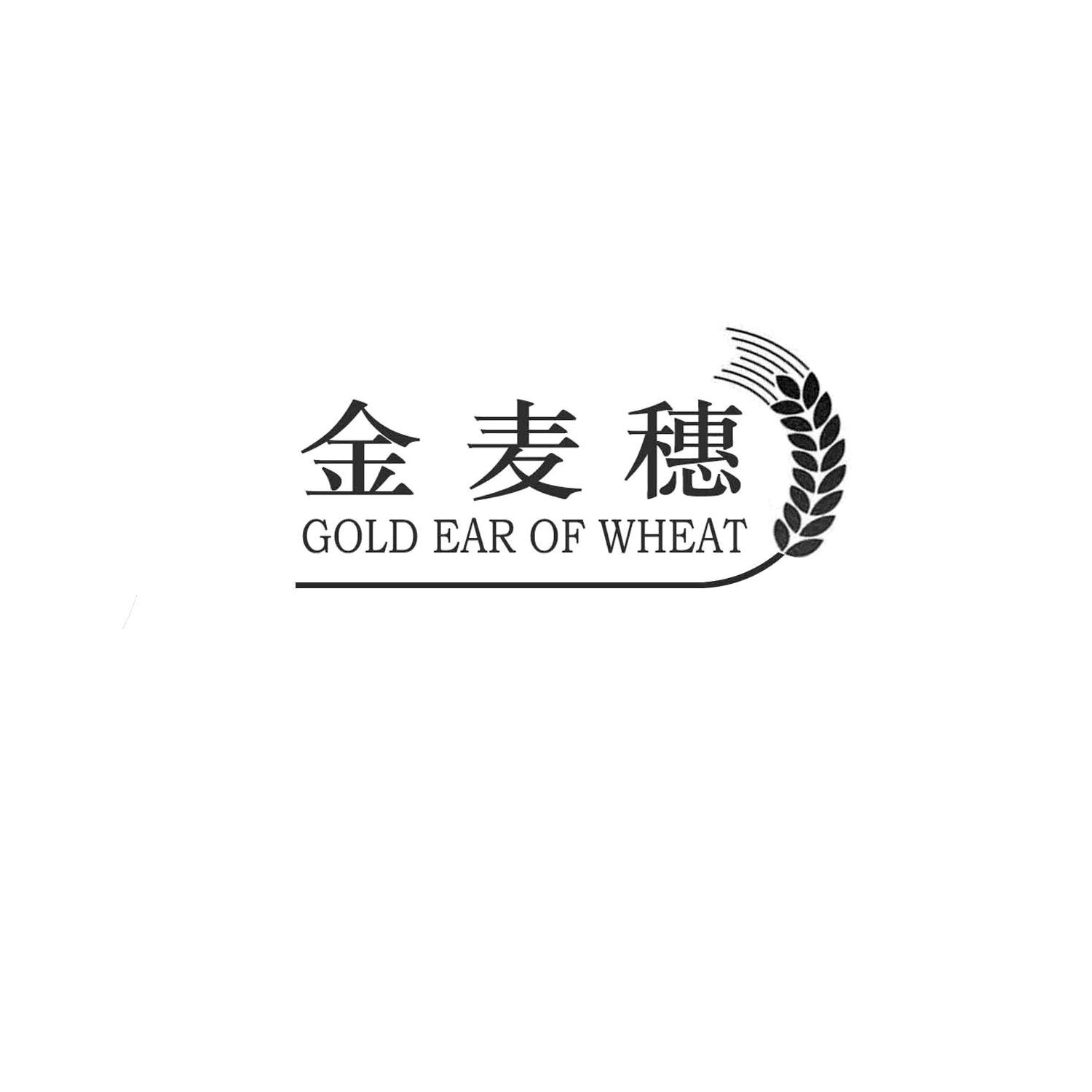 金麦穗 gold ear of  wheat申请被驳回不予受理等该商标已失效