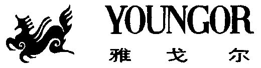 youngor; 雅戈尔商标续展完成