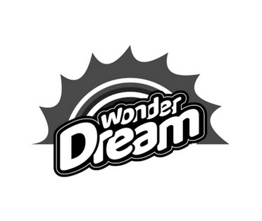 wonder dream商标分析报告-商标注册类别分析-商标注册成功率分析-爱
