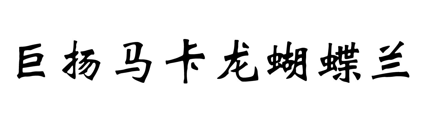 巨扬马卡龙蝴蝶兰