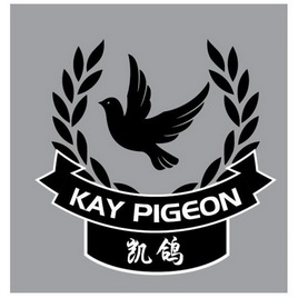 凯鸽kaypigeon