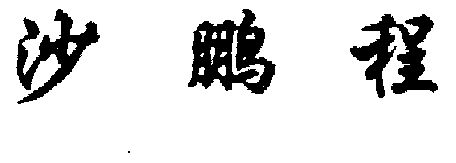 沙鹏程 - 商标 - 爱企查