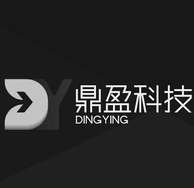 鼎盈科技 em>dingying/em dy