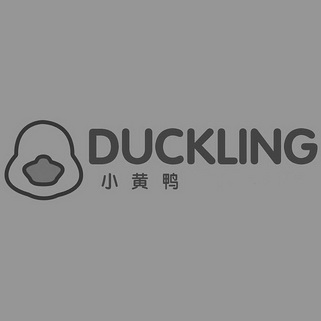  em>小 /em> em>黄鸭 /em>