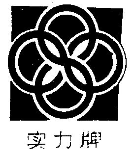 实力