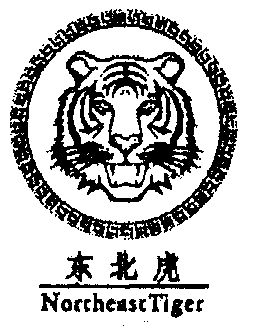 东北虎;northeast tiger                    