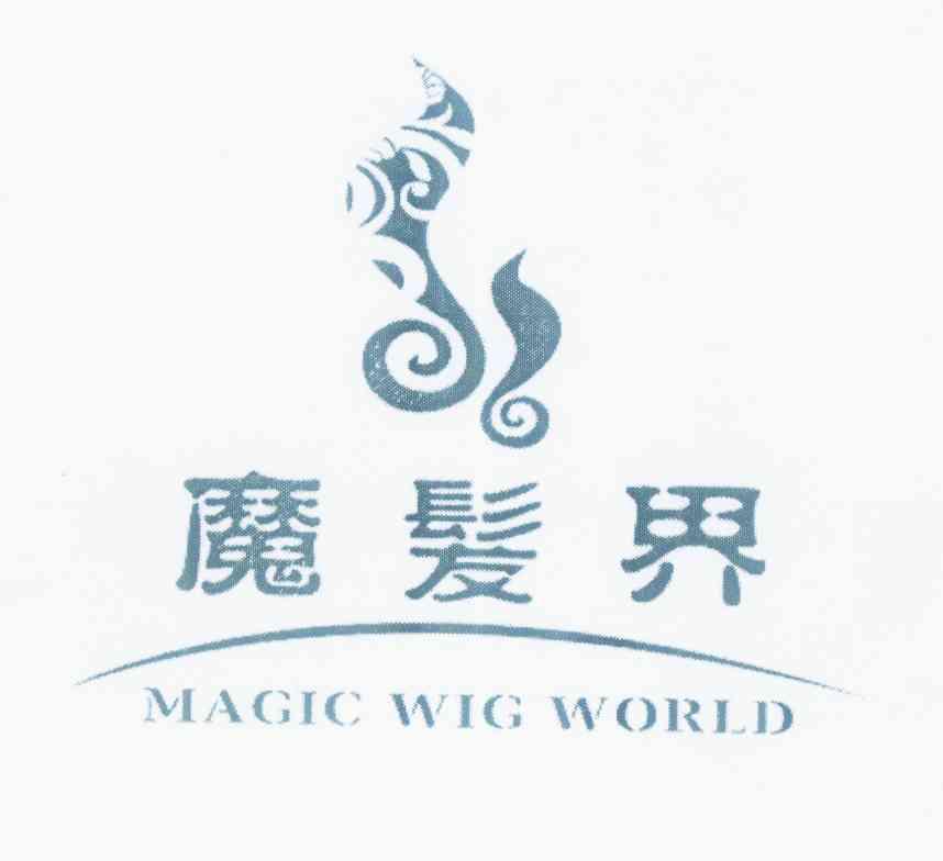  em>魔发界 /em> em>magic /em> em>wig /em> em>world /em>