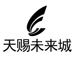 天赐未来城 - 商标 - 爱企查