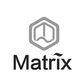 matrix                                    
