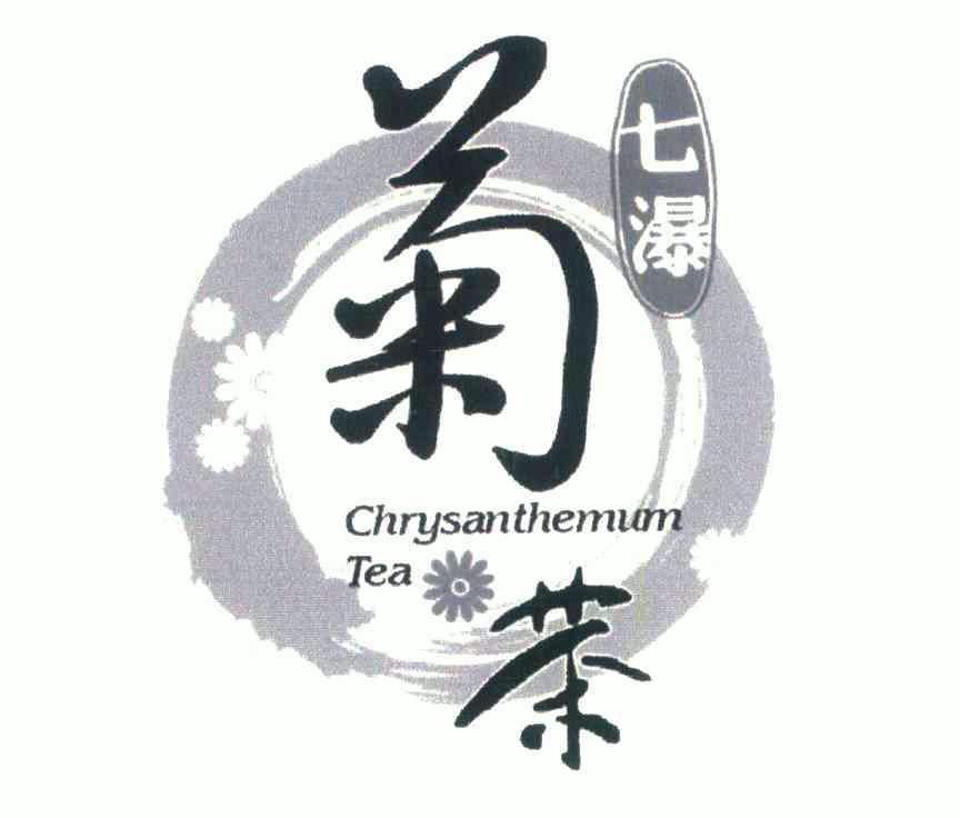 七瀑菊茶;chrysanthemum tea