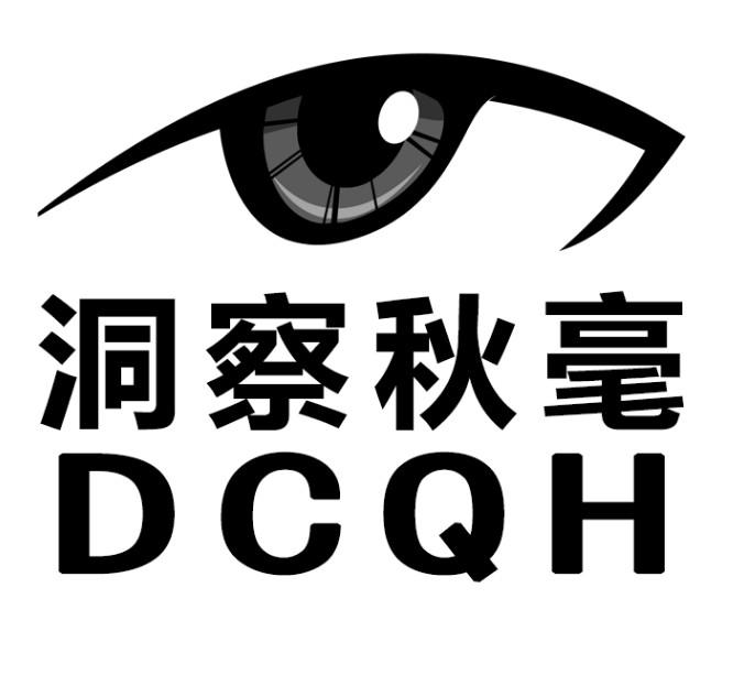 洞察秋毫 dcqh                             