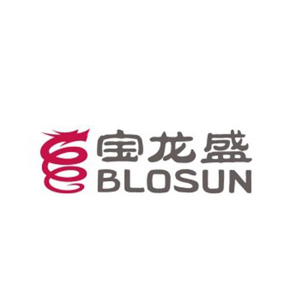 宝龙盛blosun_企业商标大全_商标信息查询_爱企查